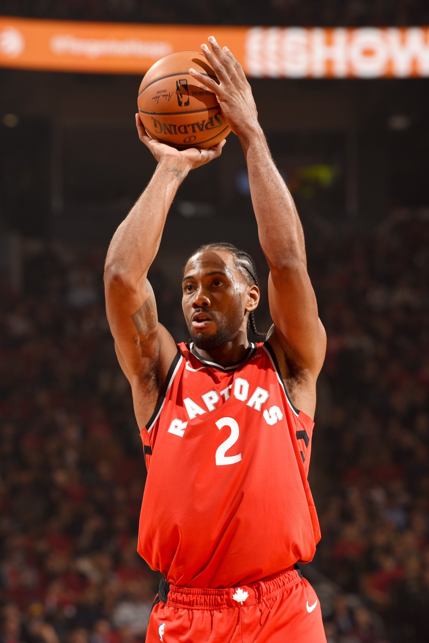 电影主角一 电影主角一